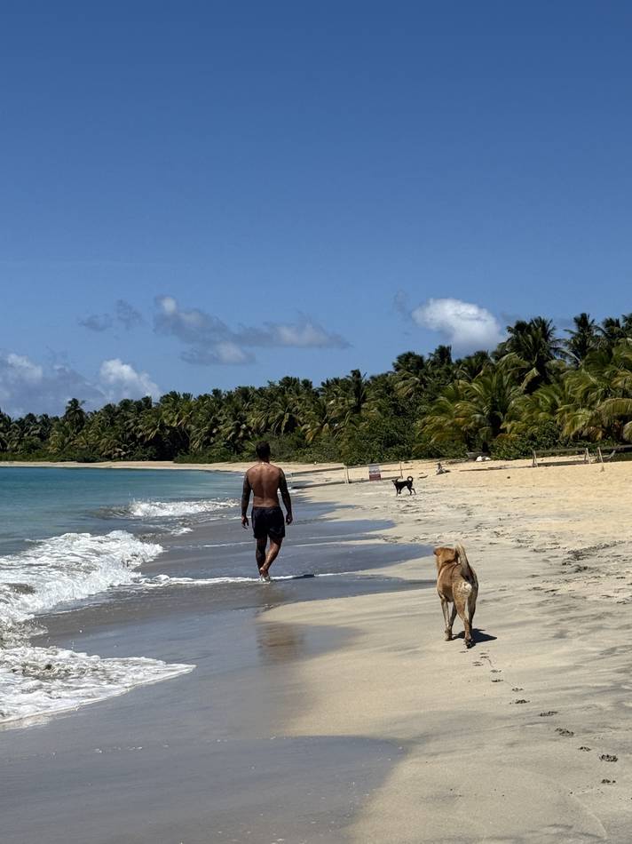 Caminando por la orilla del mar con un perro detrás