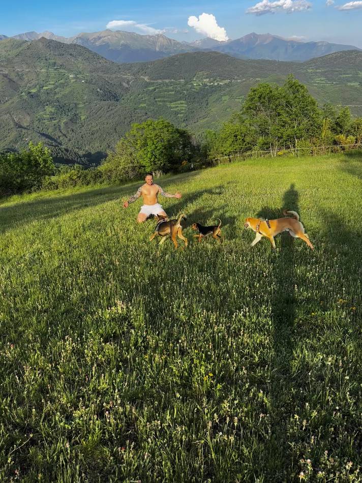 Sentado en un prado mientras tres perros corren alrededor